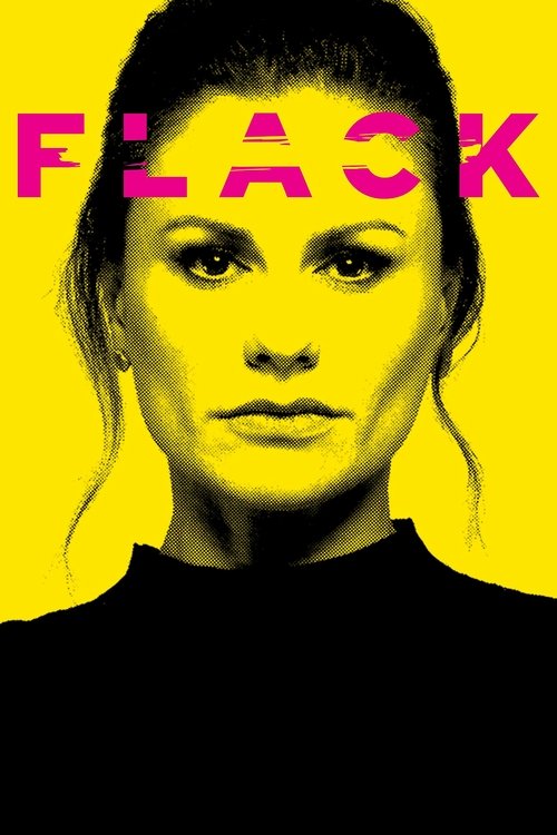 Assistir Flack