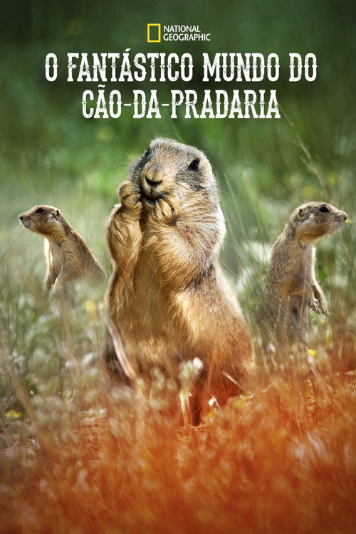 Assistir O Fantástico Mundo do Cão-da-Pradaria