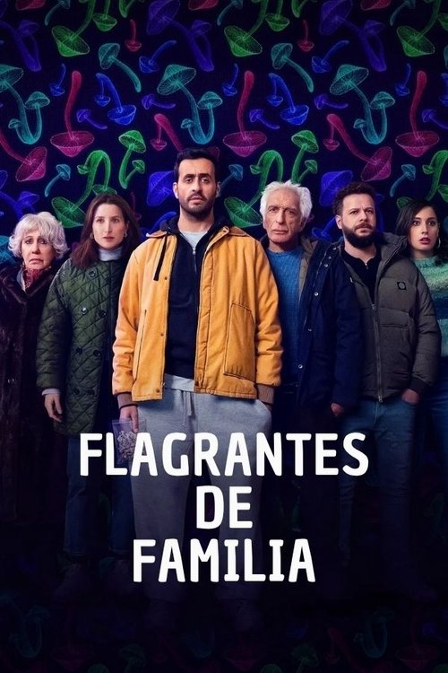 Assistir Flagrantes de Família