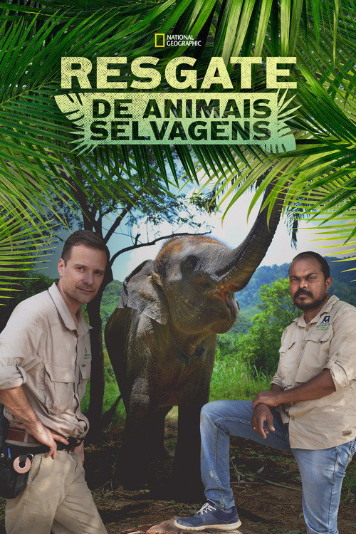Assistir Heróis da Selva