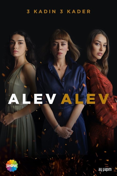 Assistir Chamas do Destino