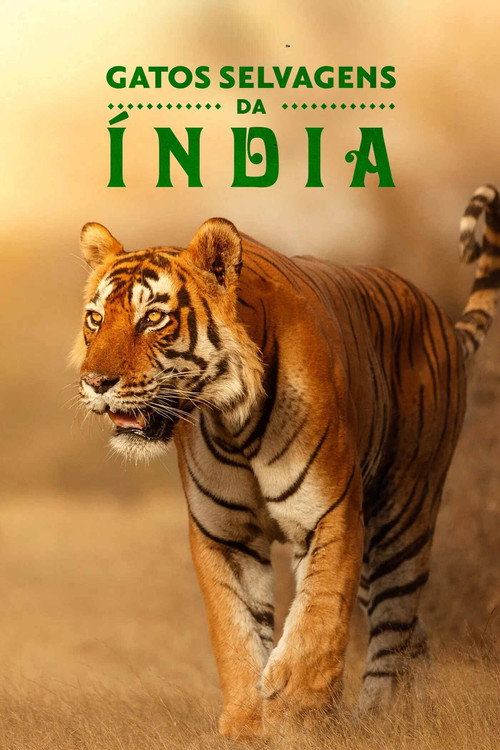 Assistir Gatos Selvagens da Índia