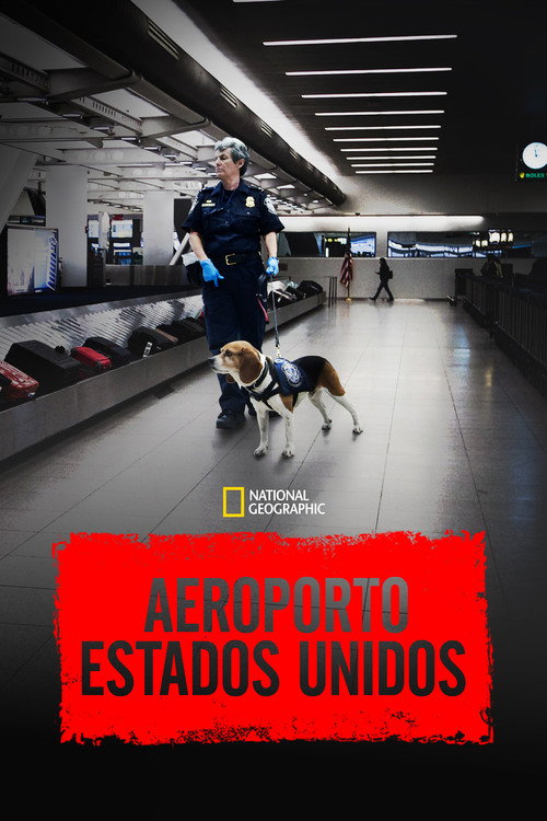 Assistir Aeroporto: Estados Unidos