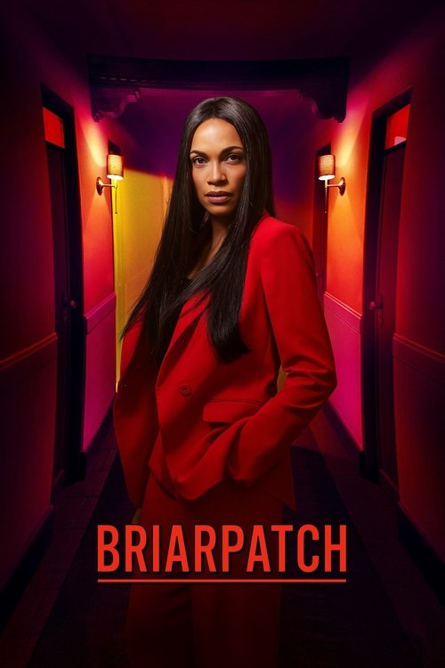 Assistir Briarpatch