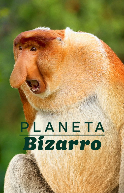 Assistir Planeta Bizarro
