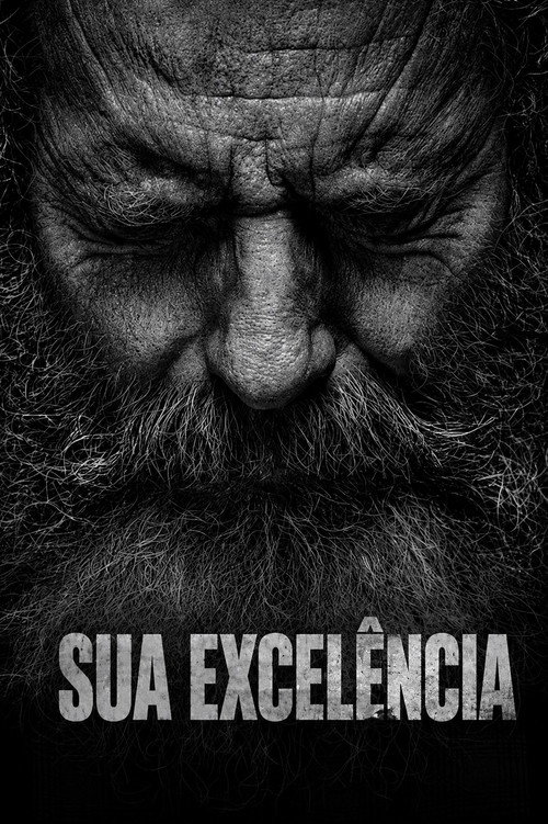 Assistir Sua Excelência
