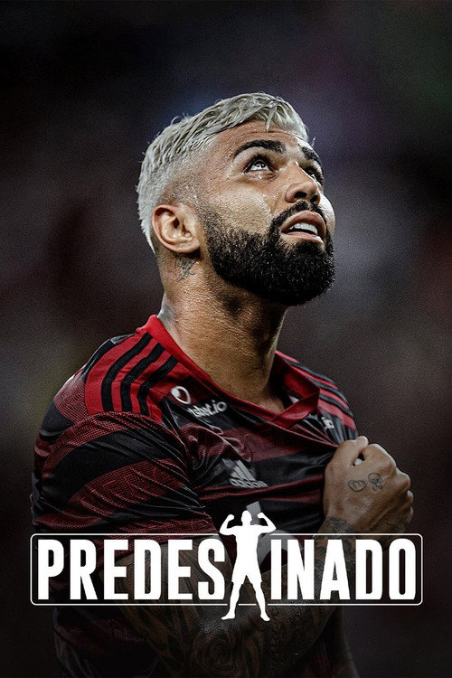 Assistir Predestinado