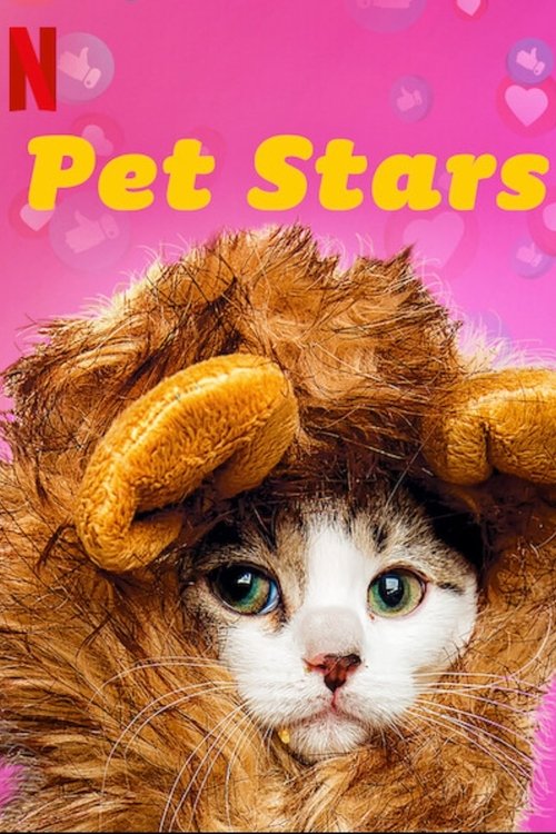 Assistir Pet Stars