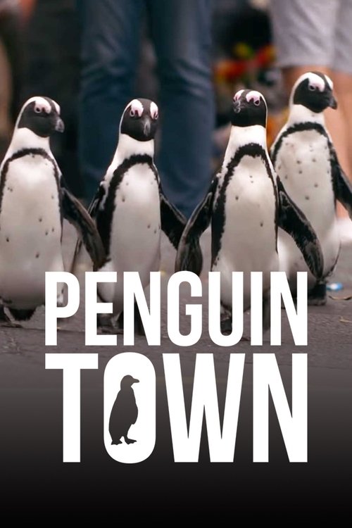 Assistir Cidade dos Pinguins