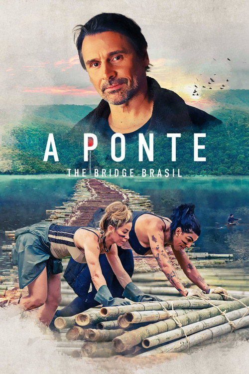 Assistir A Ponte: The Bridge Brasil