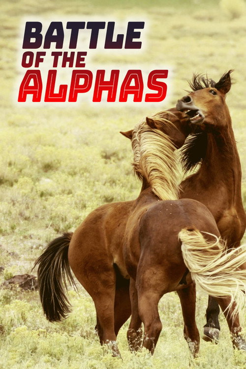 Assistir Batalha dos Alfas