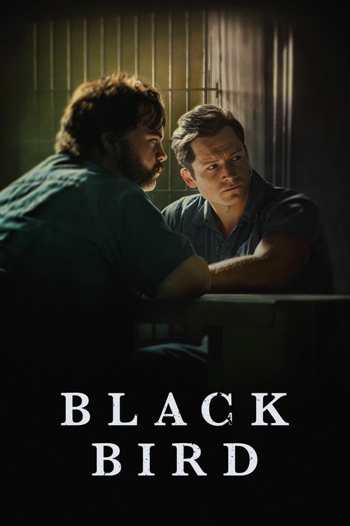 Assistir Black Bird