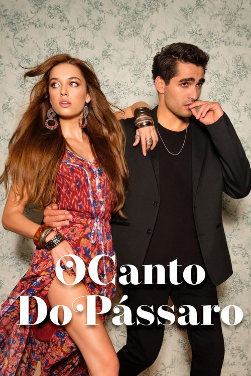 Assistir O Canto do Pássaro