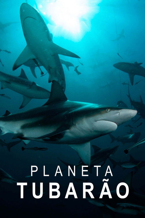 Assistir Planeta Tubarão