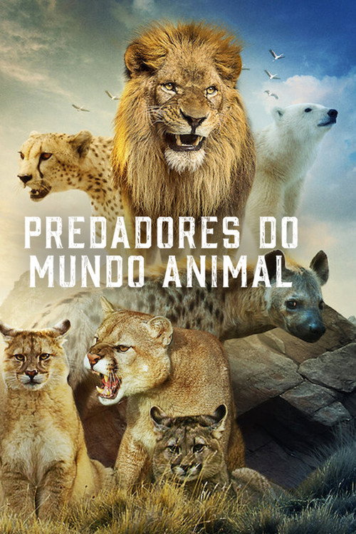 Assistir Predadores do Mundo Animal