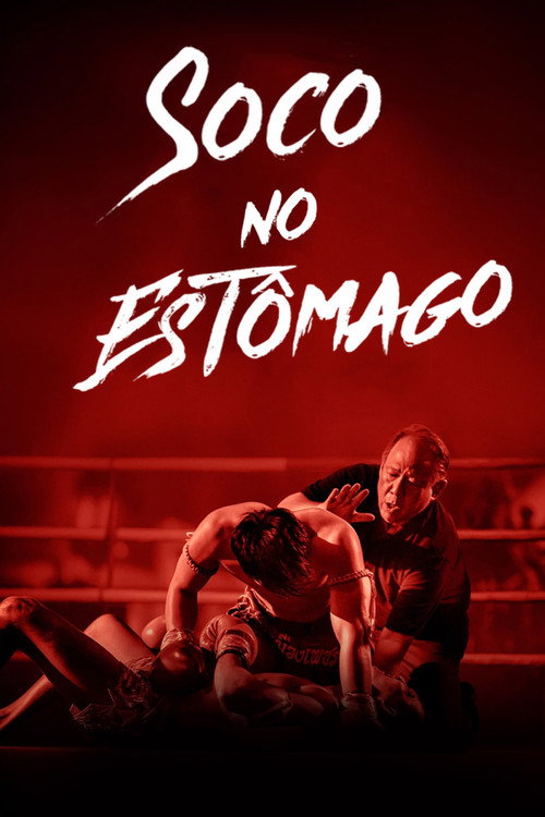 Assistir Soco no Estômago