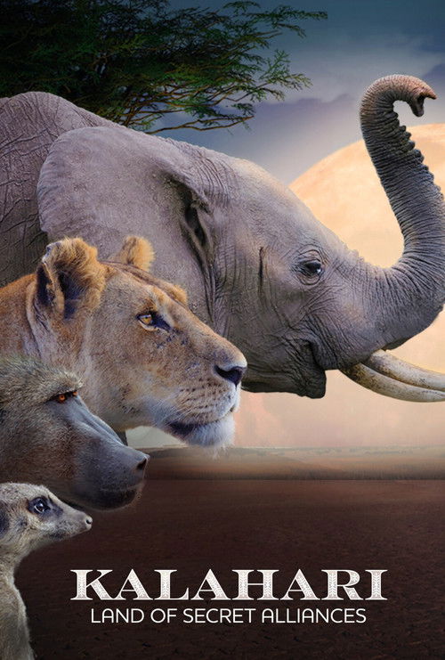 Assistir Kalahari: Terra das Alianças Secretas