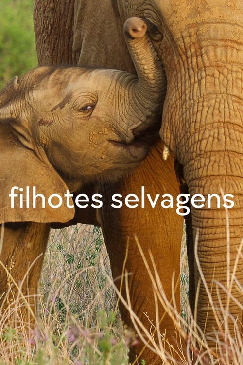 Assistir Filhotes Selvagens