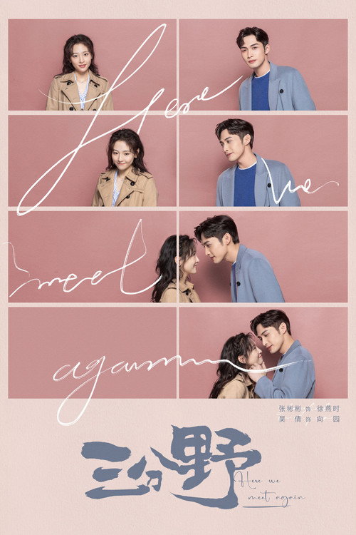 Assistir Here We Meet Again