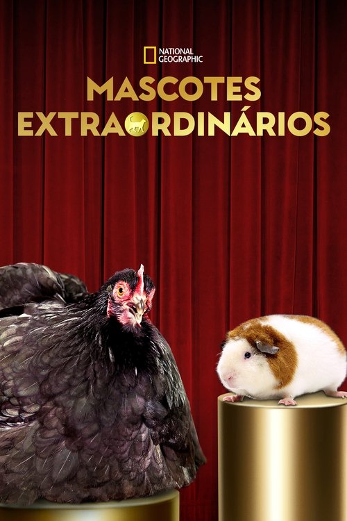 Assistir Mascotes Extraordinários