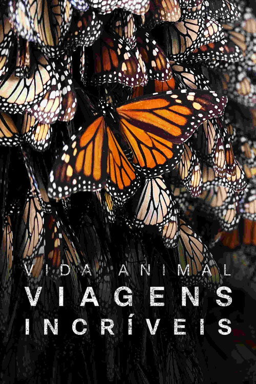 Assistir As Mais Incríveis Viagens de Animais