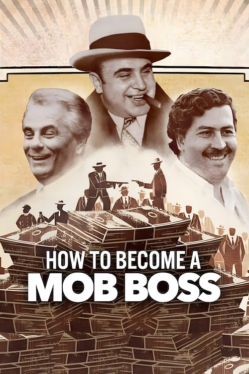 Assistir Como Se Tornar um Chefe do Crime