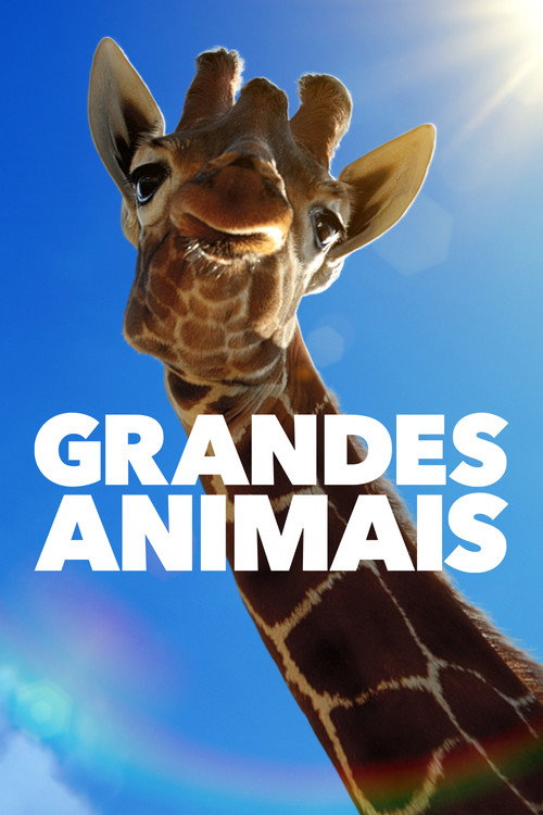 Assistir Grandes Animais