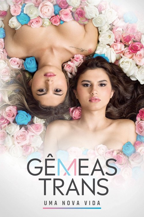Assistir Gêmeas Trans: Uma Nova Vida