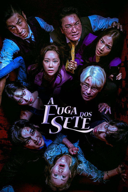 Assistir A Fuga dos Sete