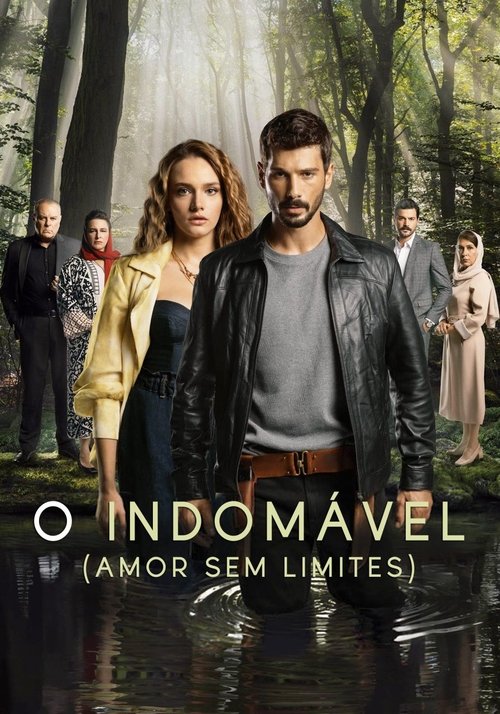Assistir Amor Sem Limites