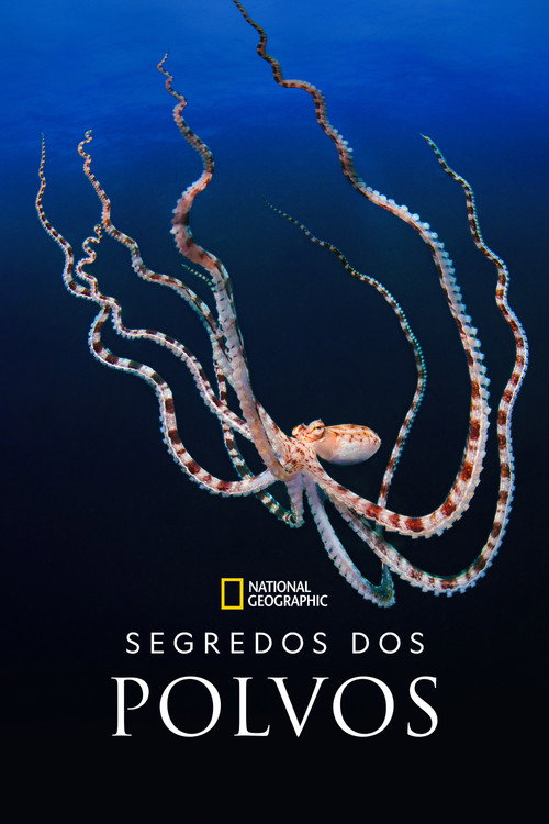Assistir Segredos dos Polvos