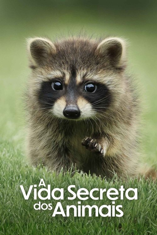 Assistir A Vida Secreta dos Animais