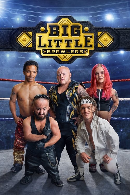 Assistir Pequenos Grandes Lutadores