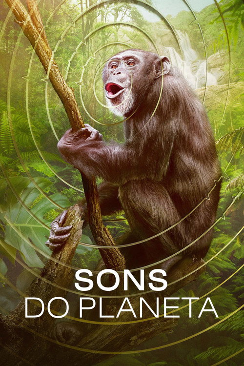Assistir Sons do Planeta