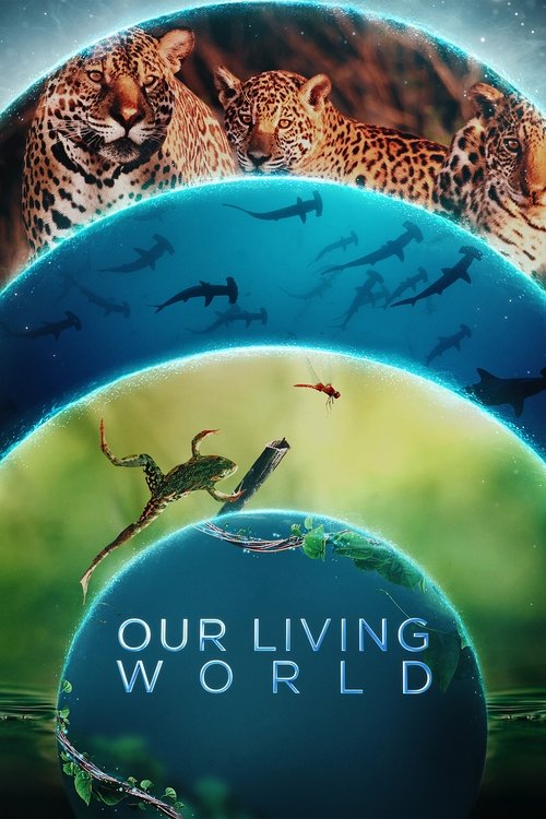 Assistir Planeta Vivo