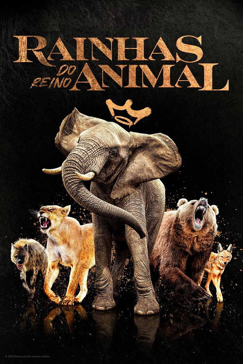 Assistir Rainhas do Reino Animal
