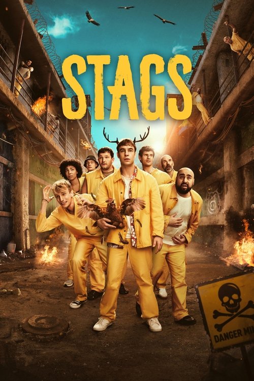 Assistir Despedida de Solteiro