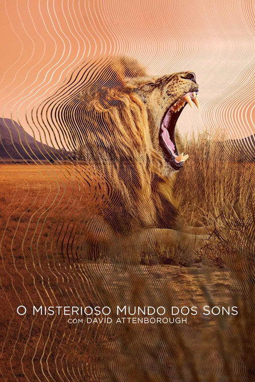Assistir O Misterioso Mundo dos Sons
