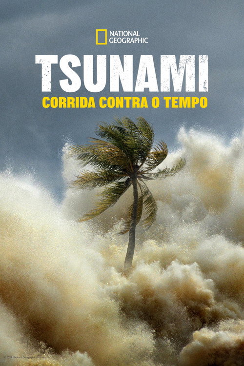 Assistir Tsunami: Corrida Contra o Tempo