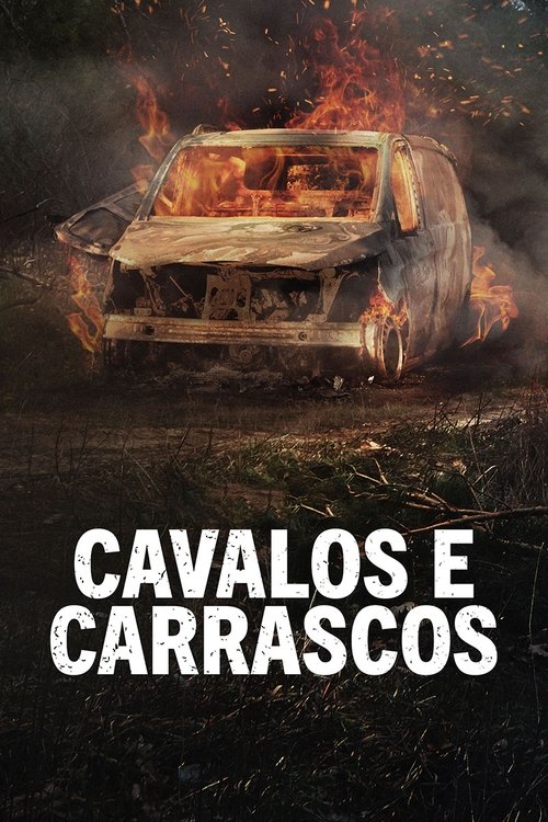 Assistir Cavalos e Carrascos