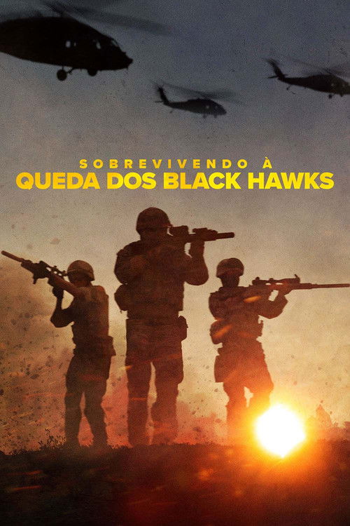Assistir Sobrevivendo à Queda dos Black Hawks