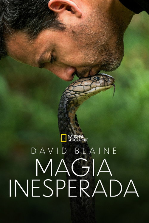 Assistir David Blaine: Magia Inesperada
