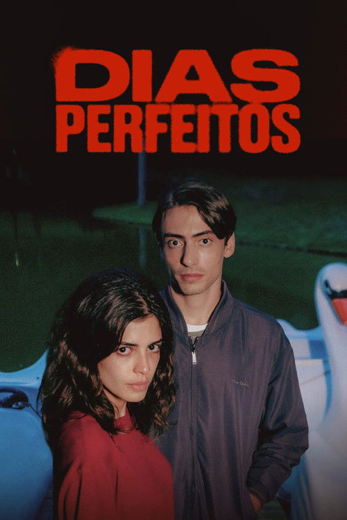 Assistir Dias Perfeitos