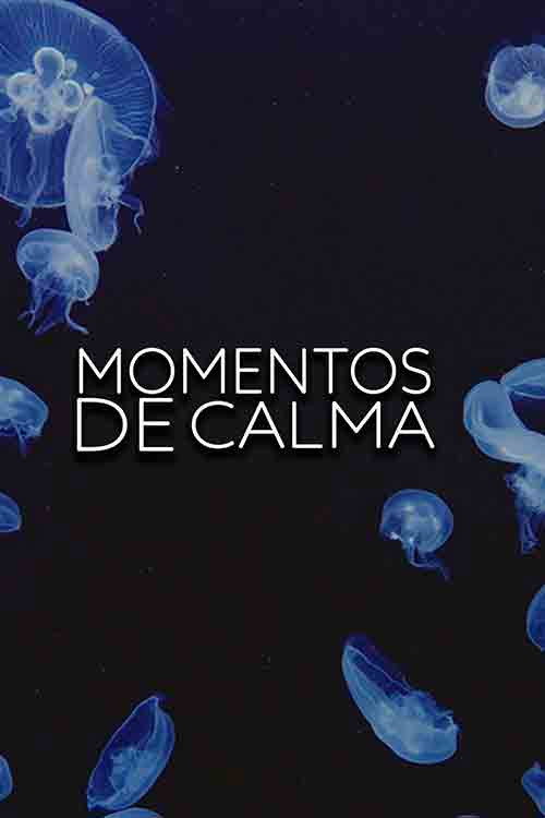 Assistir Momentos de calma