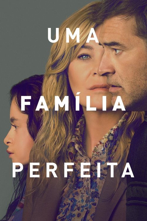 Assistir Uma Família Perfeita