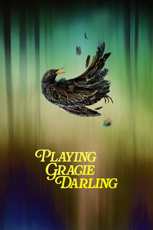 Assistir Quer Brincar de Gracie Darling?