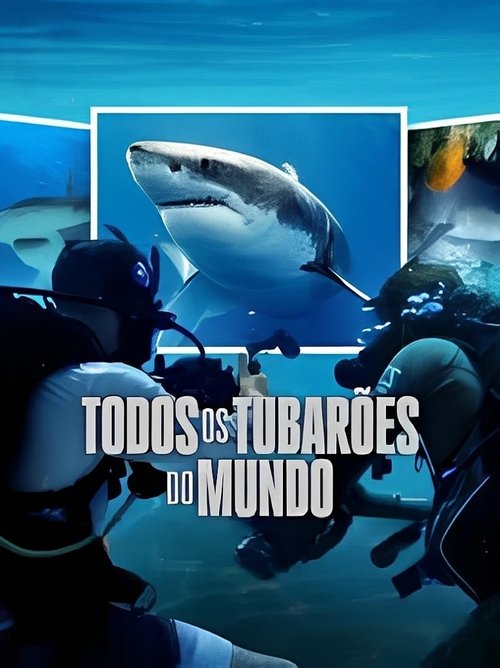 Assistir Todos os Tubarões do Mundo