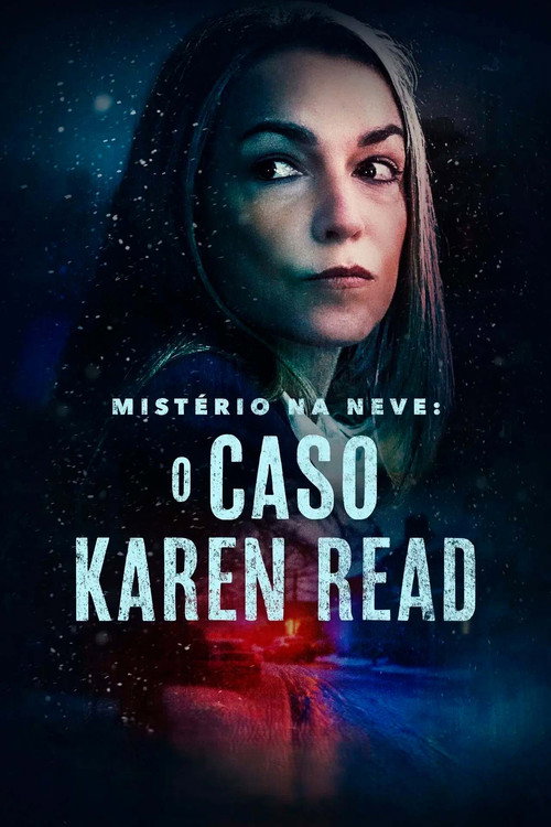 Assistir Mistério na Neve: O Caso Karen Read