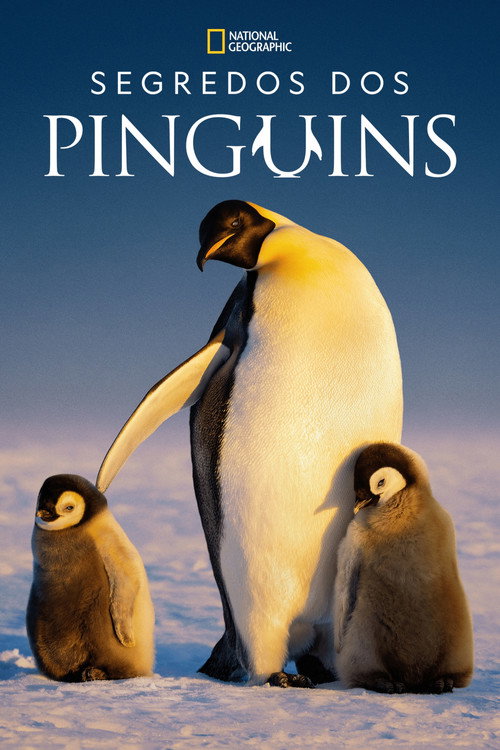 Assistir Segredos dos Pinguins