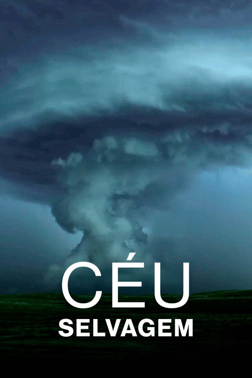 Assistir Céu Selvagem